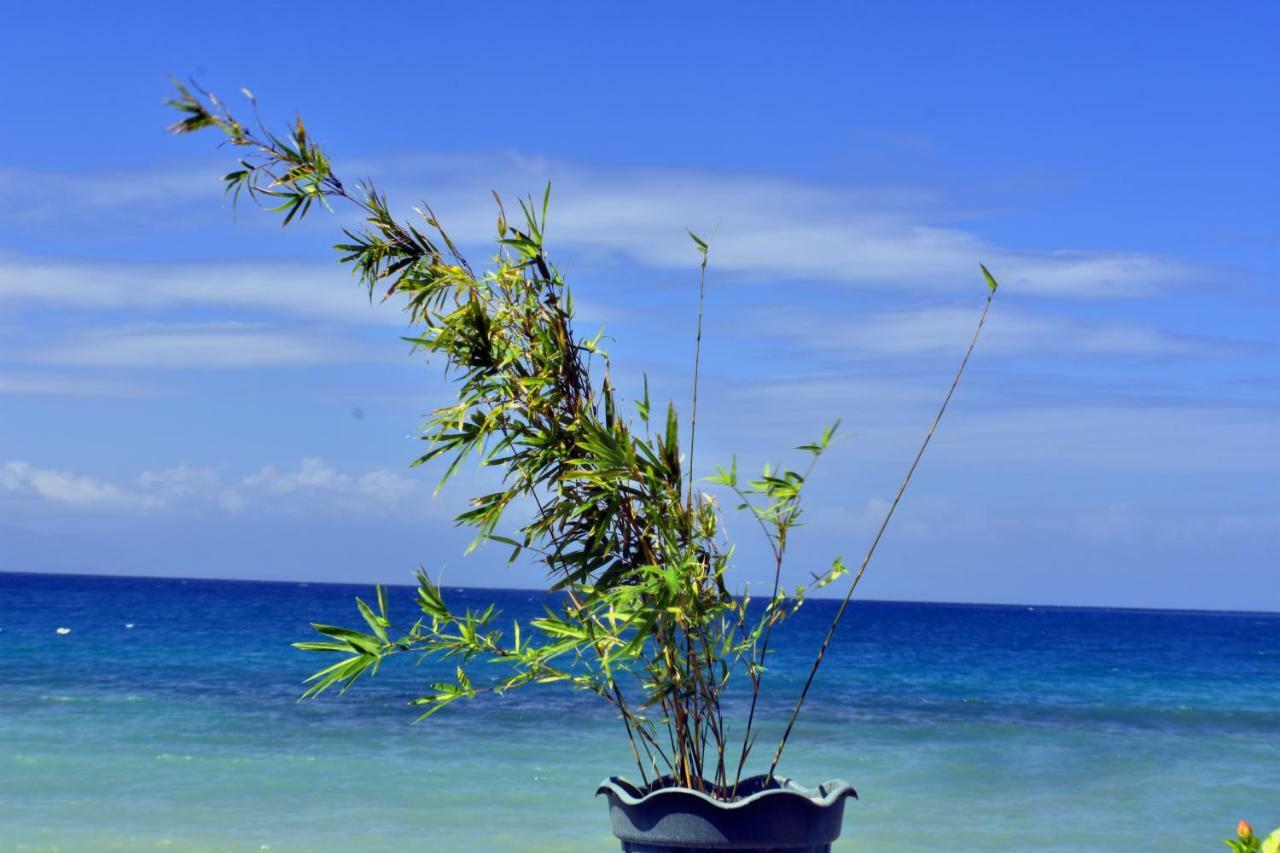 Mlk Bamboo Beachhouse Alegria  Extérieur photo